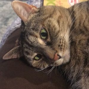 Meet your Posher, Rose